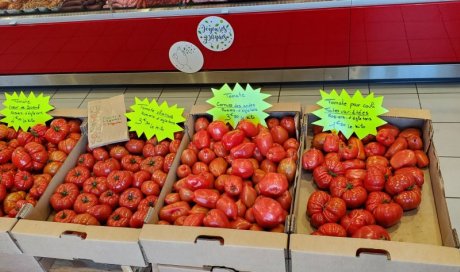 Vente de tomates locales à Egletons